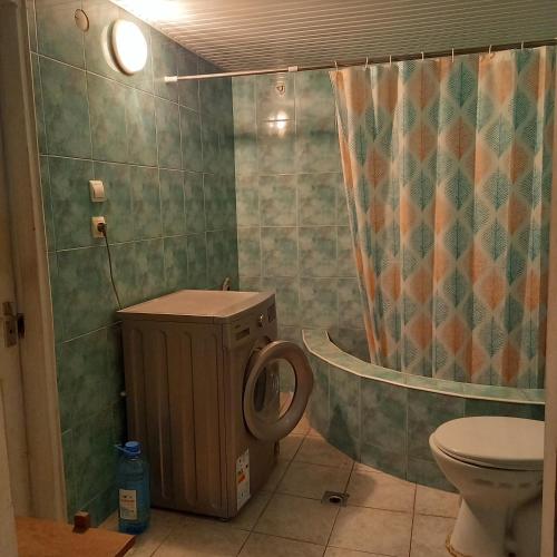 un baño con inodoro y ducha en House, en Itʼkhvisi