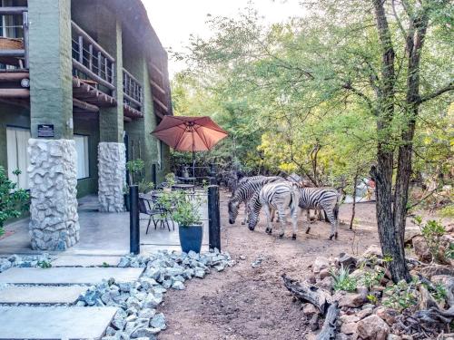 Φωτογραφία από το άλμπουμ του Croc Orvyll's Kruger Lodge σε Marloth Park