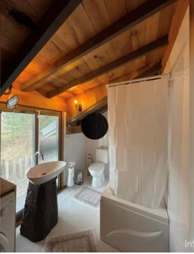 a bathroom with a tub and a toilet and a sink at Çalıkuşu Dağ Evi in Bursa
