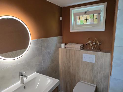 a bathroom with a sink and a mirror at Stijlvol Tiny House in de natuur in Enschede