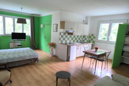a living room with green walls and a kitchen at Résidence les Sources in Prats-de-Mollo-la-Preste