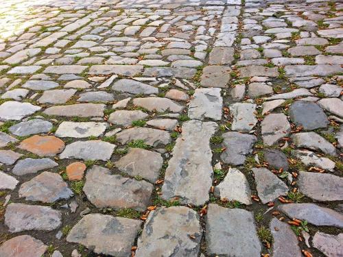 a cobblestone street with rocks and grass on it at Hospedaje Octavio in Santillana del Mar