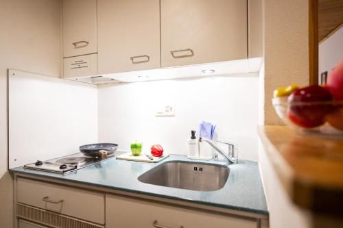 a kitchen with a sink and a counter top at Chasa Ulrica in Ftan