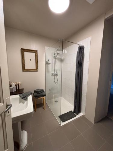 a bathroom with a shower and a sink at La Haute Trémière in Charenton sur Cher