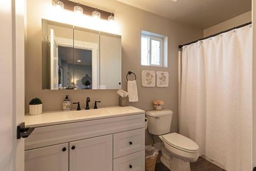 a bathroom with a sink and a toilet and a mirror at Modern abode in Central Missoula! in Missoula