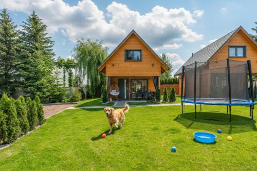 un cane che si trova sull'erba di fronte a una casa di Dream Home Pet-Friendly - Ogród 600m2, Las 10min a Polanica-Zdrój