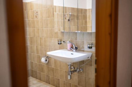 a bathroom with a sink and a mirror at Chasa Bugliet in Sent