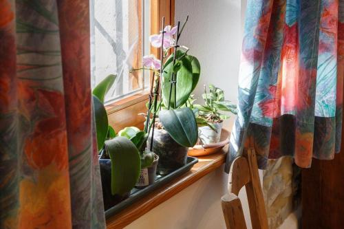 Posezení v ubytování Al Ciod Agriturismo