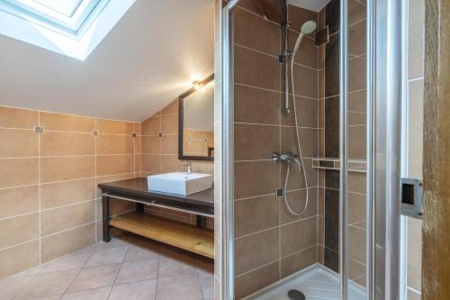 a bathroom with a shower and a sink at Martirenia in Ossès