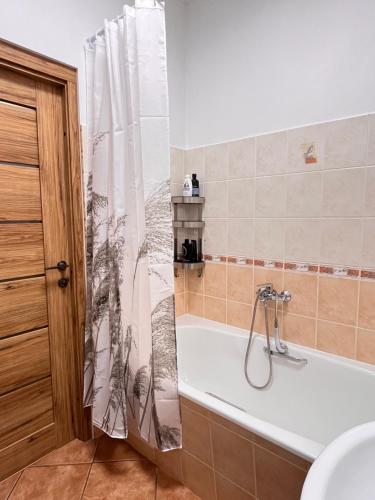 łazienka z wanną i zasłoną prysznicową w obiekcie Nice&cozy flat No7 w Rydze