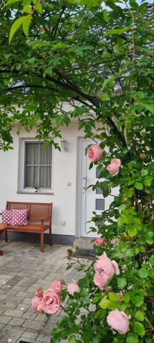a bunch of pink roses in front of a building at Ferienhaus Karola in Kölpinsee