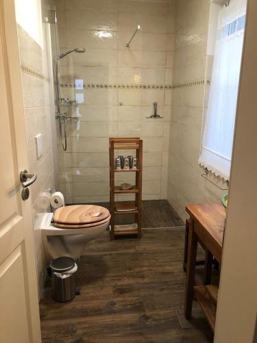 a bathroom with a shower and a toilet and a sink at Ferienhaus Karola in Kölpinsee