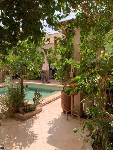 Kasbah Didiにある庭