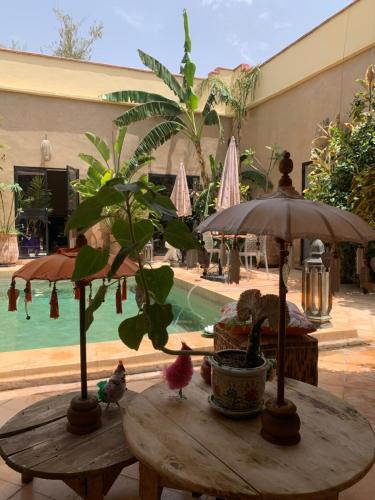 ララ・タクルクストにあるKasbah Didiの鉢植えと傘とプールのあるテーブル