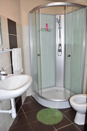 a bathroom with a shower and a toilet and a sink at Bornemisza Kuria in Tiszabecs