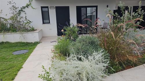a garden with plants in front of a house at מנות בטבע in Manot