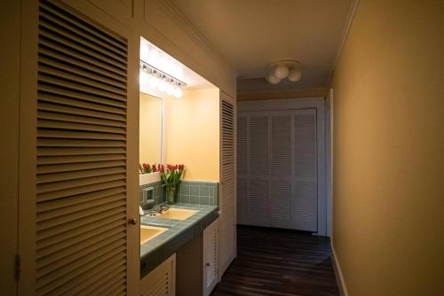 a bathroom with a sink and a mirror at Twin Oaks Near Lake Wallenpaupack Historic Home in Hawley