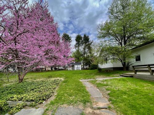 a tree with pink flowers in a yard with a bench at Twin Oaks Near Lake Wallenpaupack Historic Home in Hawley