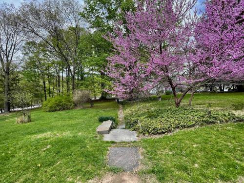 a tree with purple flowers in a park at Twin Oaks Near Lake Wallenpaupack Historic Home in Hawley