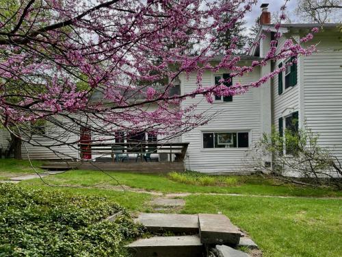 a house with a flowering tree in front of it at Twin Oaks Near Lake Wallenpaupack Historic Home in Hawley