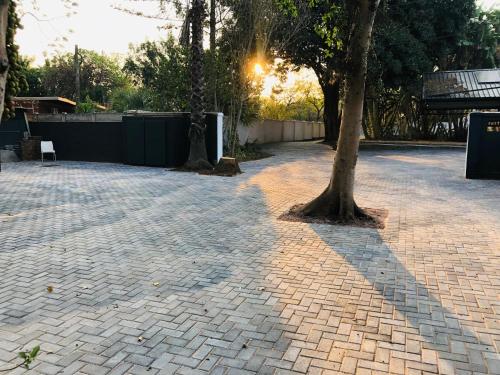 a tree casts a shadow on a brick driveway at Grafiti Boutique Hotel in Bela-Bela