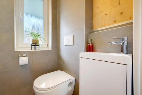 a bathroom with a toilet and a sink and a window at Ferienhäuser Stickel in Freudenstadt