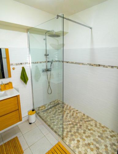 a shower with a glass door in a bathroom at Emeraude & Lagon in Pointe-à-Pitre