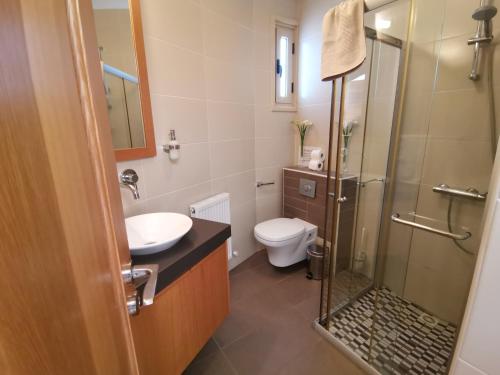 a bathroom with a toilet and a sink and a shower at Orchard Blossom Private Villa With Pool in Phrenaros