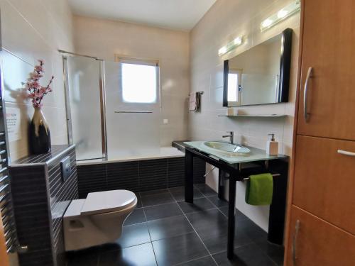 a bathroom with a sink and a toilet and a mirror at Orchard Blossom Private Villa With Pool in Phrenaros