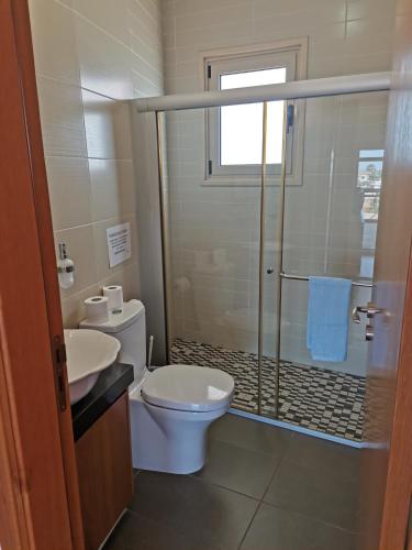 a bathroom with a toilet and a glass shower at Orchard Blossom Private Villa With Pool in Phrenaros