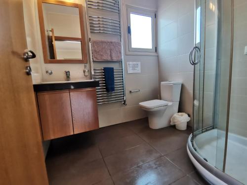 a bathroom with a toilet and a sink and a shower at Orchard Blossom Private Villa With Pool in Phrenaros