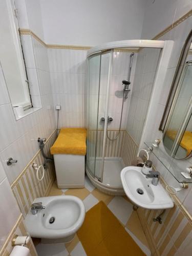 a bathroom with a shower and a toilet and a sink at Downtown-Room Zagreb in Zagreb