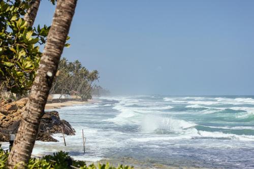 a beach with palm trees and waves in the ocean at Owl and the Pussycat Hotel & Restaurant in Unawatuna