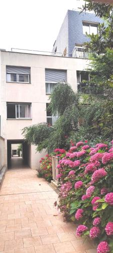 Lovely apartment overlooking inner garden - Montparnasse Pasteur