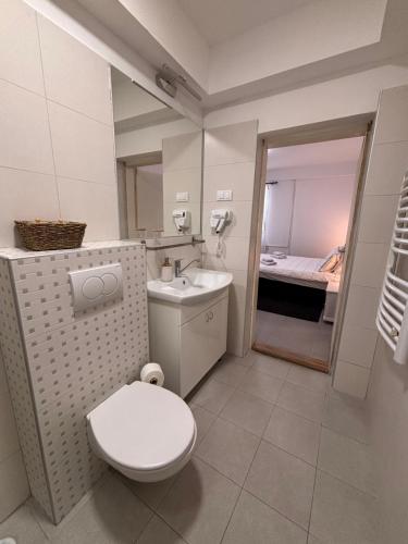 a bathroom with a white toilet and a sink at Zeravica Rooms B&B in Sremski Karlovci