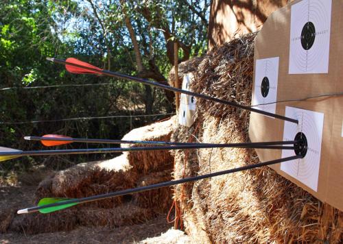 a bow and arrows on the side of a tree at Piekenierskloof Mountain Resort by Dream Resorts in Citrusdal