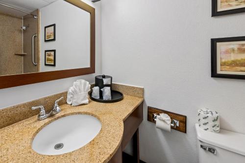 a bathroom with a sink and a mirror at Comfort Inn & Suites Omaha Central in Omaha