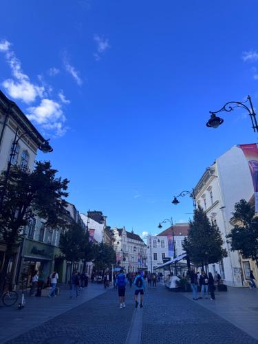 Balcescu Loftの宿泊客