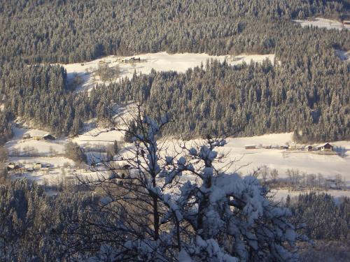 a snow covered tree in front of a mountain at Frühstückspension Zippo in Greifenburg