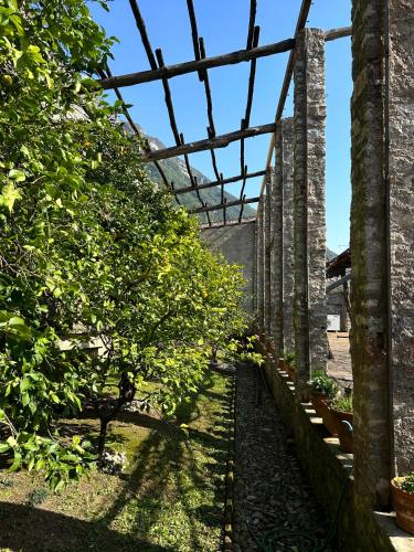 a row of apple trees in a garden at Hotel Villa Giulia in Gargnano