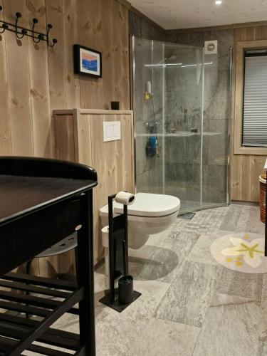 a bathroom with a toilet and a glass shower at New Mountain Cabin With Views Over Eggedal in Eggedal