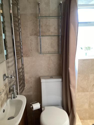a bathroom with a toilet and a sink at Basils Bolthole in Darsham