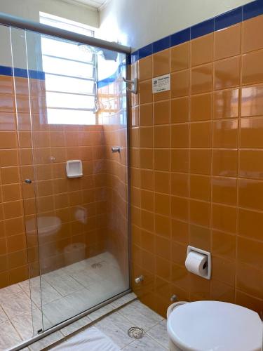 a bathroom with a glass shower with a toilet at Hotel Ponta Grossa São Marcos in Ponta Grossa
