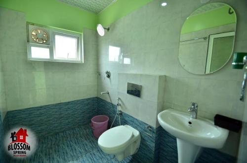 a bathroom with a sink and a toilet and a mirror at Blossom Spring Villa in Ooty