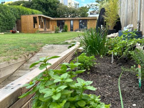 a garden with a wooden fence and some plants at Driftwood at BotanyBay - Dogs Welcome in Broadstairs