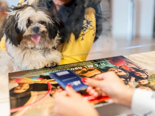 a little dog sitting next to a table with a book at Ibis Warszawa Ostrobramska in Warsaw