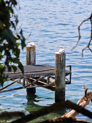 two birds sitting on posts in the water at Un Coin De Gîtes in Sciez