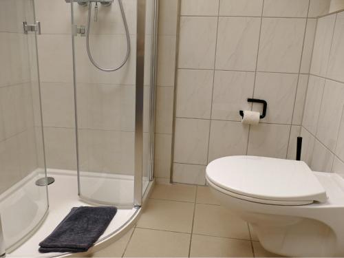 a bathroom with a toilet and a shower at Am Maiglöckchenberg 19 in Ostseebad Karlshagen
