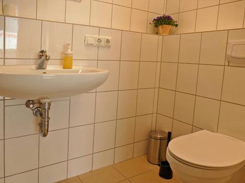 a bathroom with a sink and a toilet at Am Maiglöckchenberg 19 in Ostseebad Karlshagen