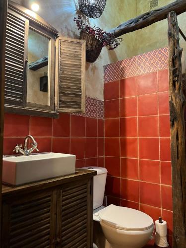 a bathroom with a toilet and a sink at Casa Rural La Charolesa in Aguilera